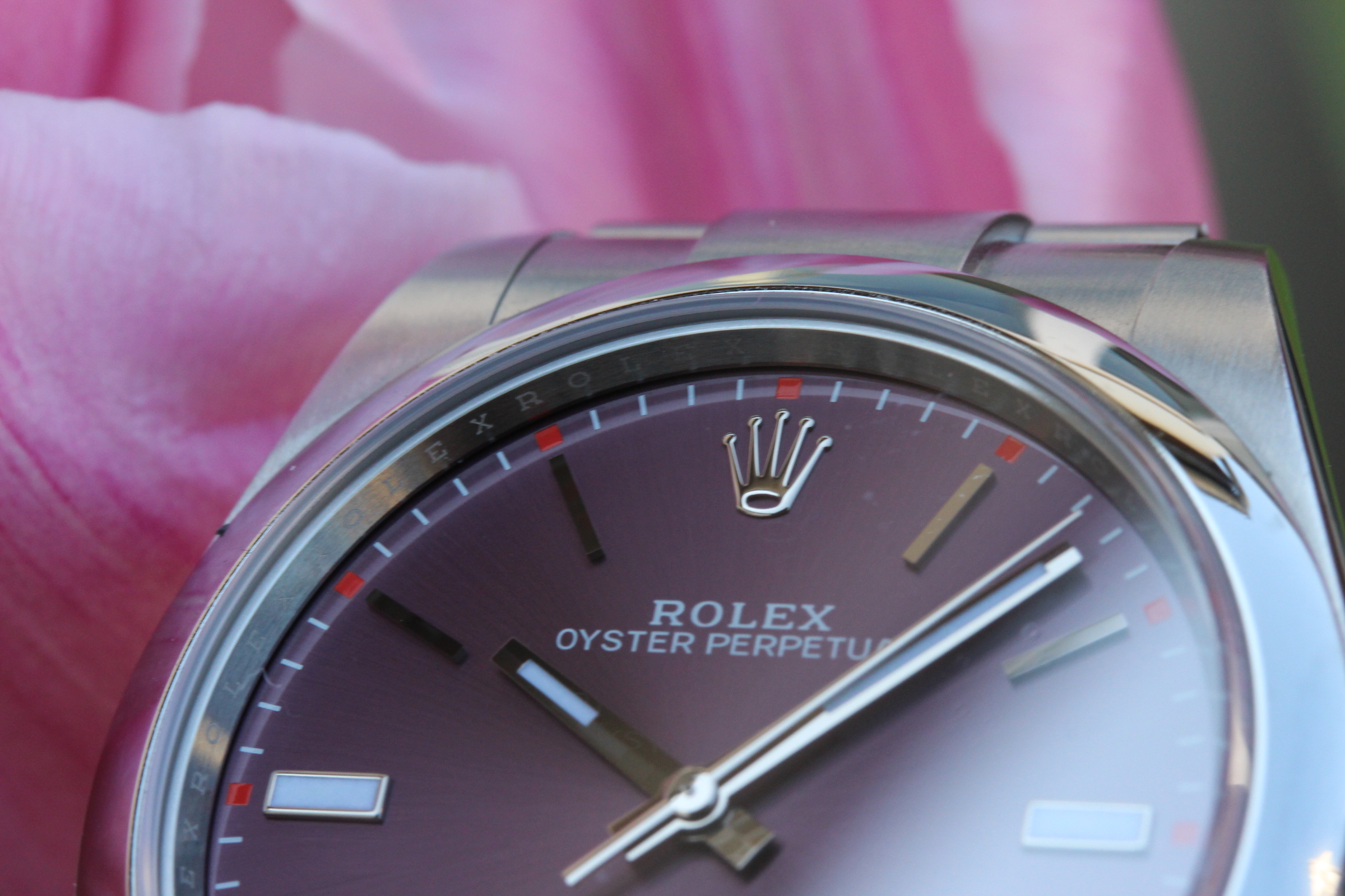 Rolex oyster perpetual 39 red grape review hot sale