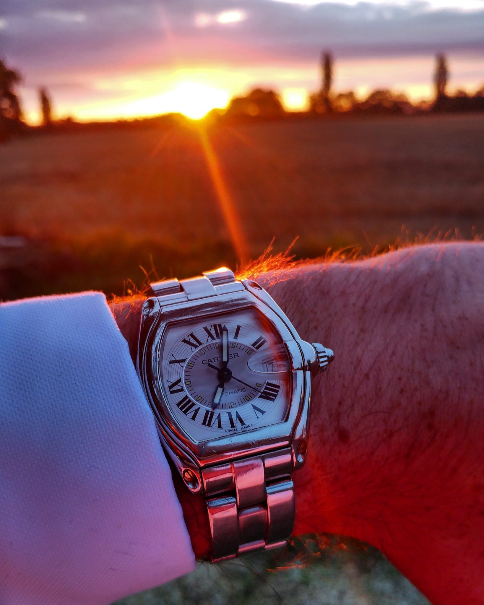 Cartier Roadster - the perfect daily 