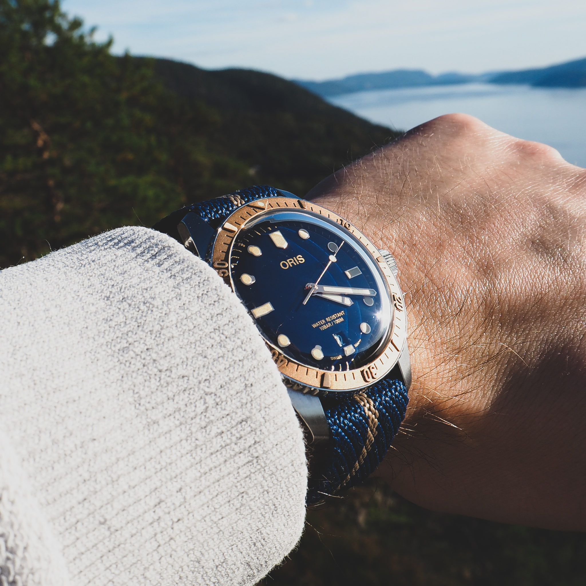 Owner Review: Oris Divers Sixty Five Two Tone 