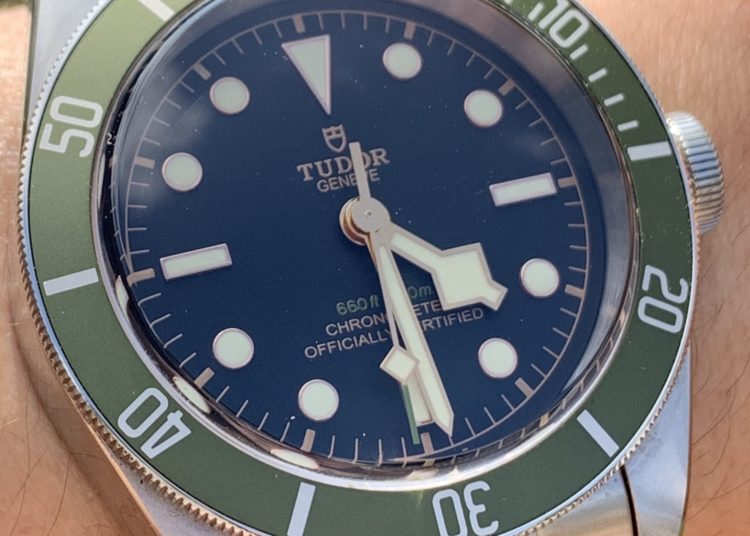 Owner Review Tudor Harrods Black Bay Little brother to the Kermit