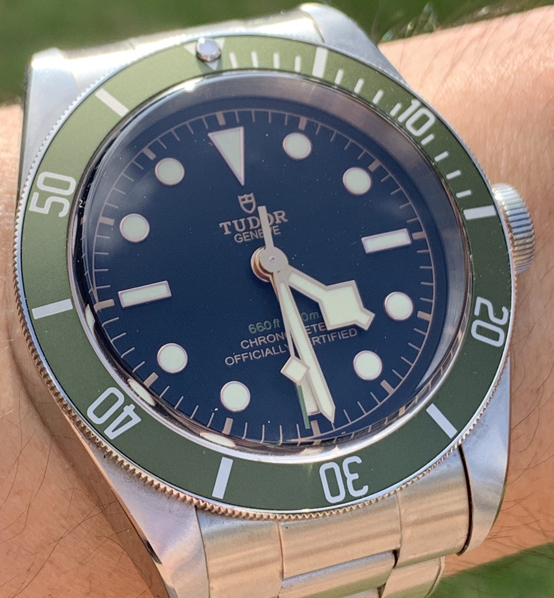 Owner Review: Tudor Harrods Black Bay – Little brother to the Kermit