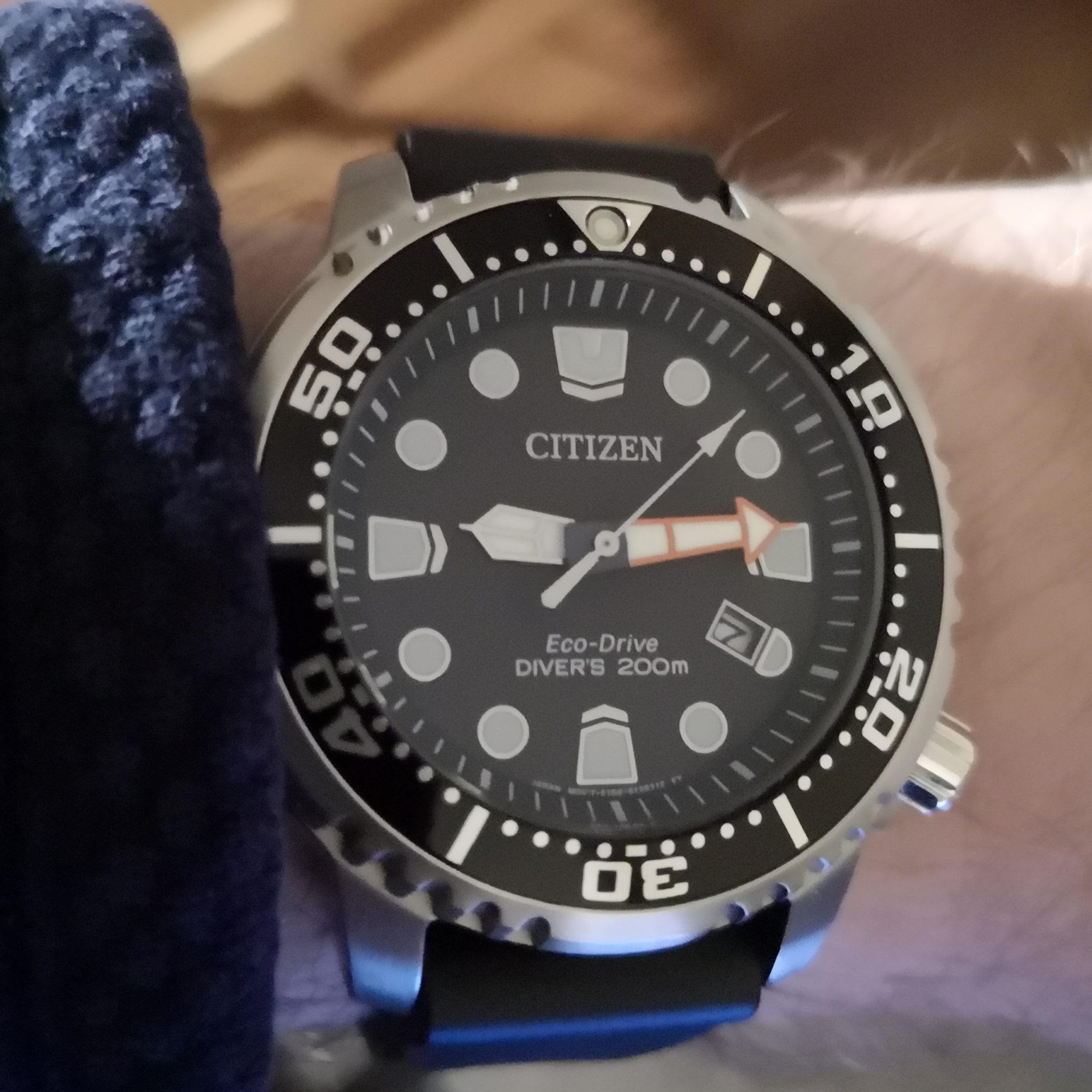 Owner Review: Citizen Eco-Drive Promaster Diver