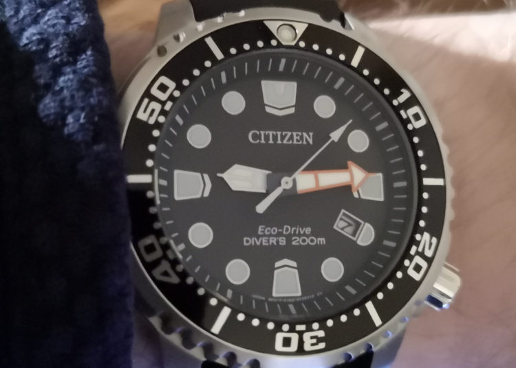 Owner Review: Citizen Eco-Drive Promaster Diver - FIFTH WRIST