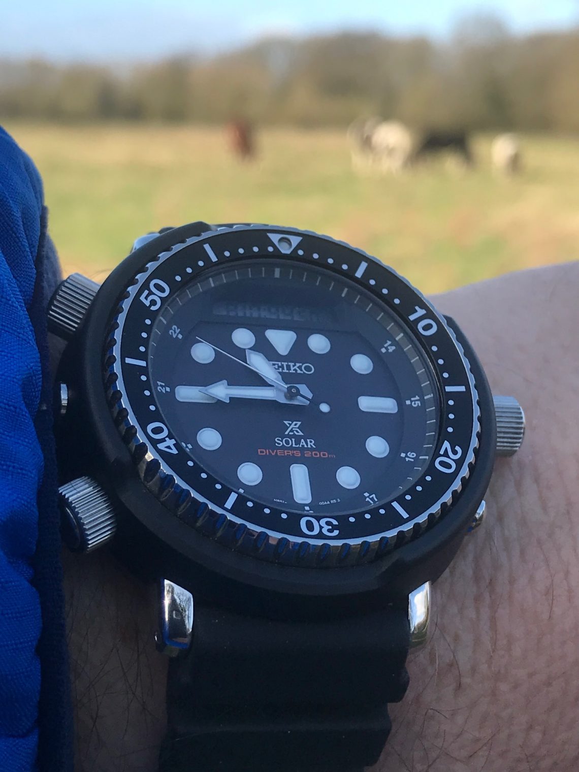 seiko arnie snj025p1