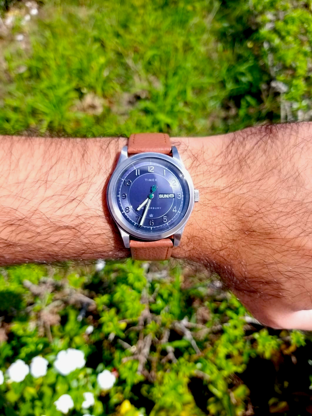 Owner Review: Timex Expedition North Field Post Solar - FIFTH WRIST