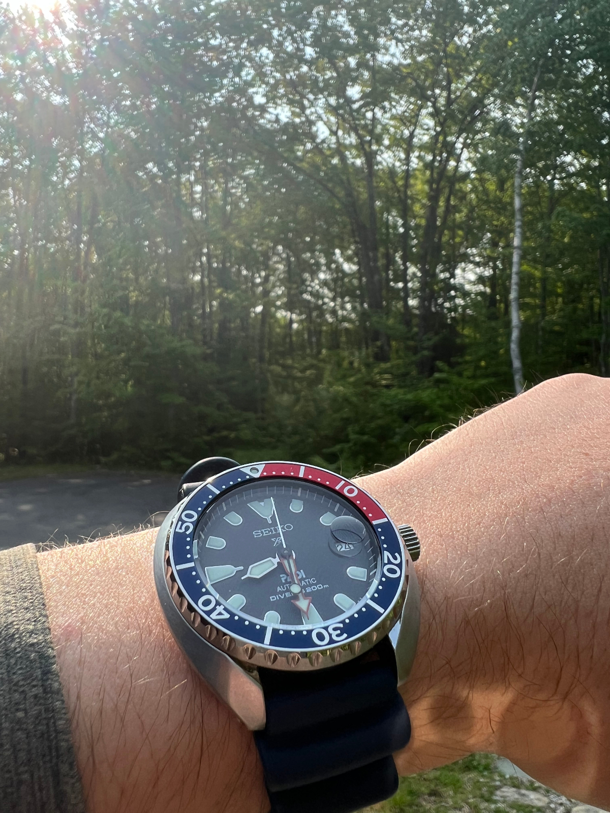 Seiko mini 2025 turtle small wrist